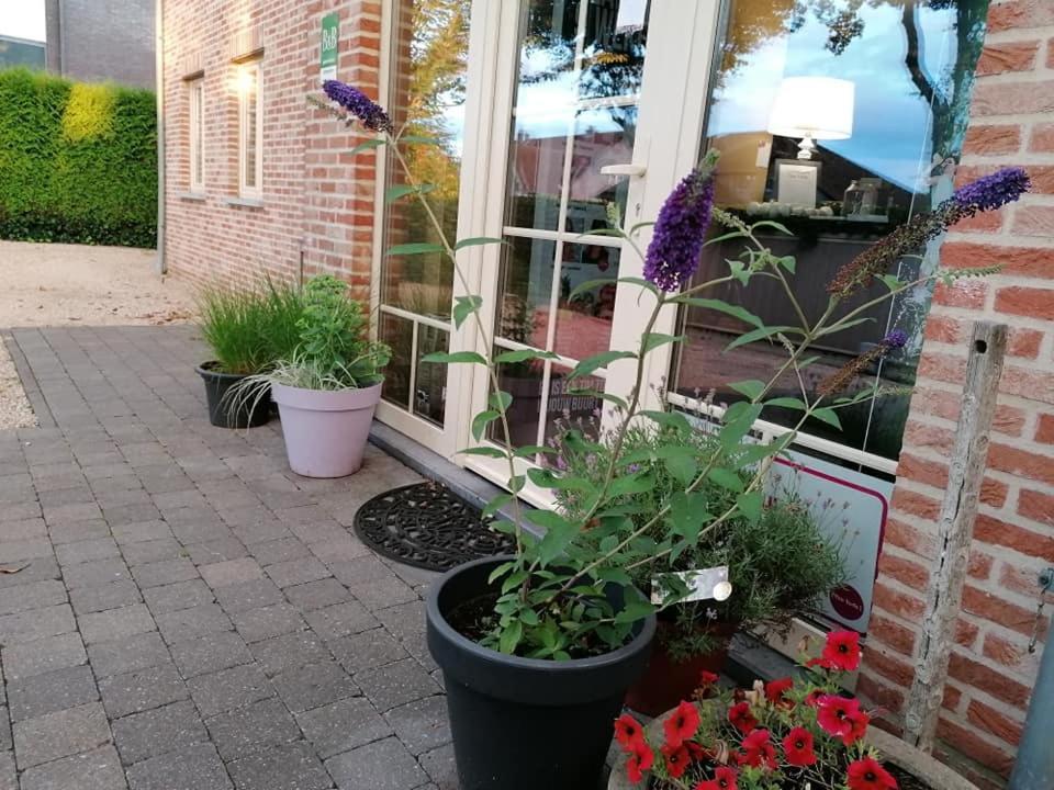 Luxe Wellness B&B Tim Torfs ***** Beringen Kültér fotó